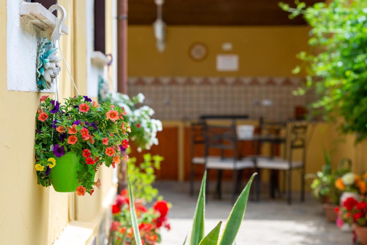 B&B Martina Agropoli Kültér fotó