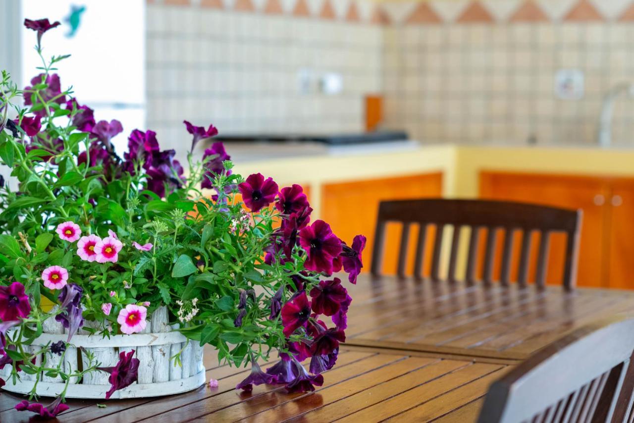 B&B Martina Agropoli Kültér fotó