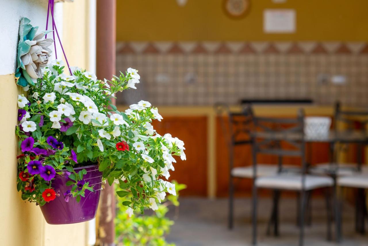 B&B Martina Agropoli Kültér fotó